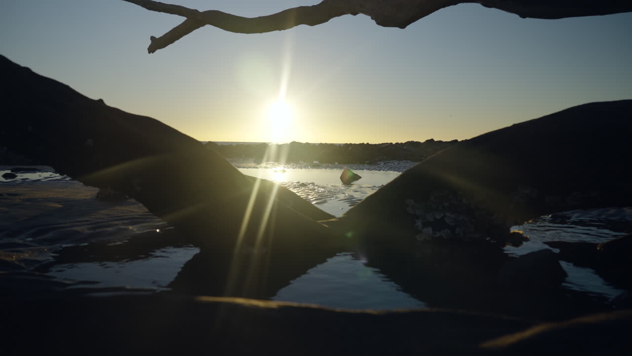 유목 위로 떠오르는 바다에서의 일출