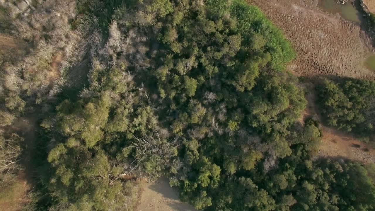 Aerial view of landscape with sandy surface and lake