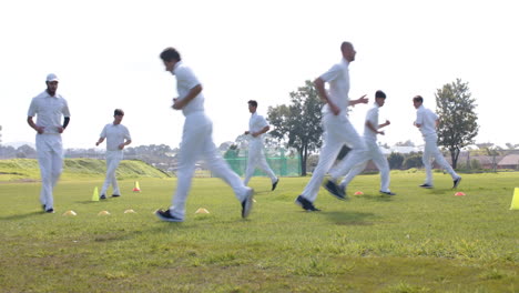team of multiracial male cricket players practicing cricket wearing cricket whites on pitch