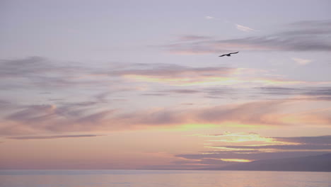 Seagull-flying-before-Sunset-in-Santa-Monica-Beach,-LA,-CA