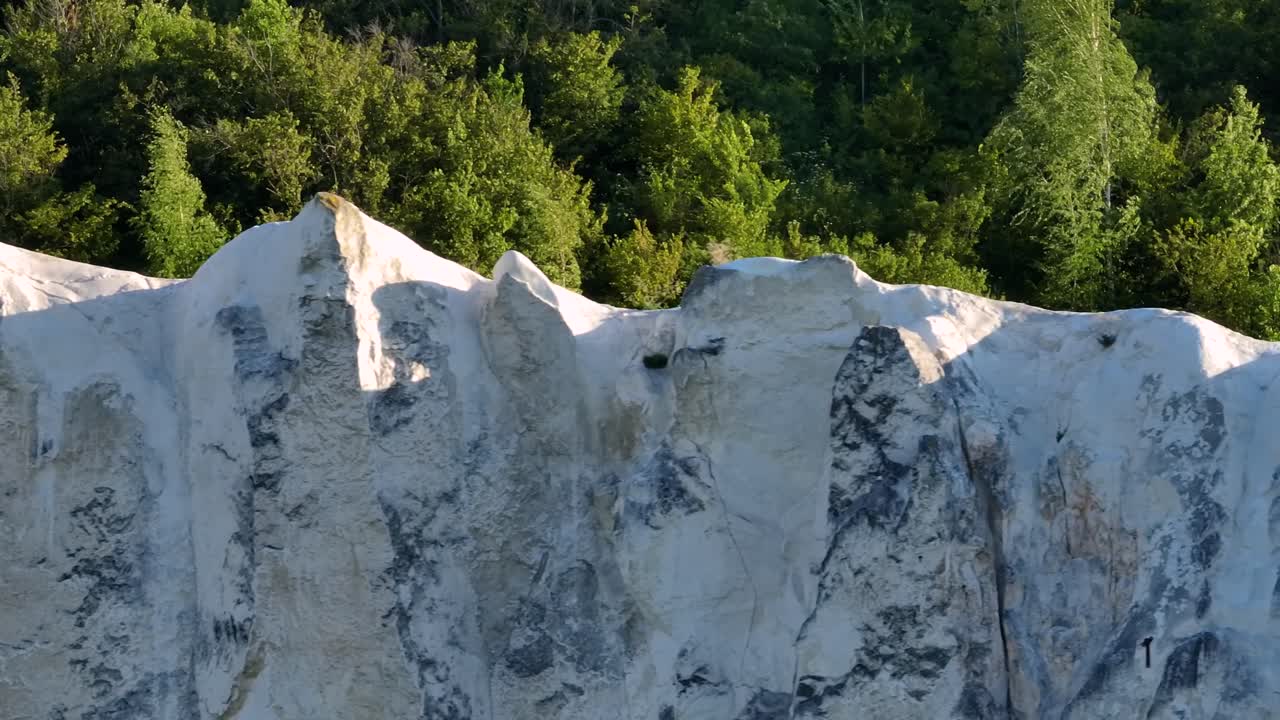 скалистая скала с деревьями на заднем плане