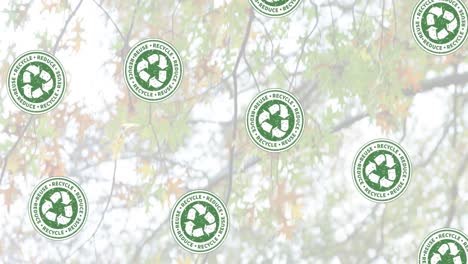 animación de iconos de reciclaje sobre el bosque
