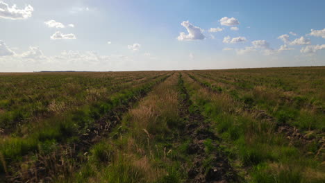 Vista-Aérea-De-Cultivos-En-Medio-De-Un-Campo