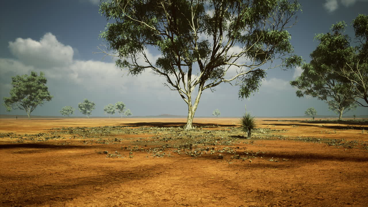 A vast arid landscape features scattered trees and dry cracked soil