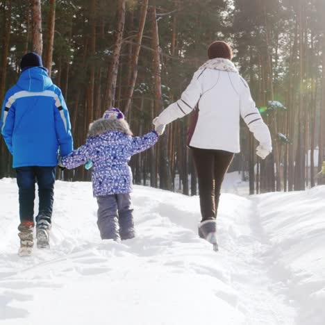 Mother-Walks-With-Her-Two-Children-In-Snow-03