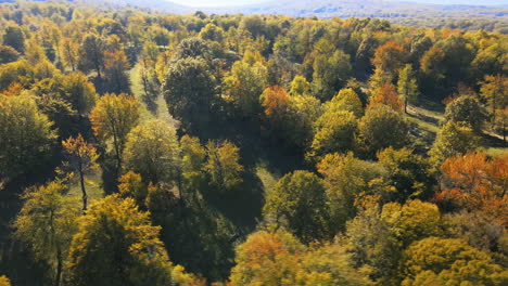 Vista-Circular-Alrededor-De-Un-Bosque-Con-Colores-Otoñales-En-4k