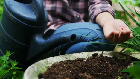 Woman-sowing-seeds-in-the-garden-4k