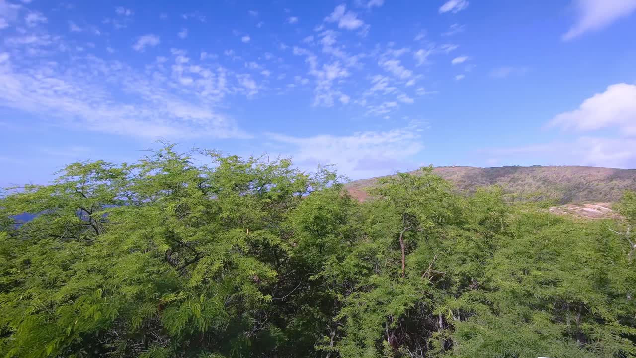 푸른 태평양 바다와 아름다운 자연을 촬영 하와이 섬 오아후에서 운전