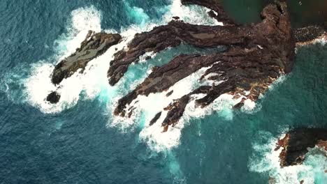 aerial view of ocean waves crashing against volcanic rocks, creating white foam and turquoise waters in seixal, north madeira island, portugal, a stunning natural seascape, slow motion top down shot