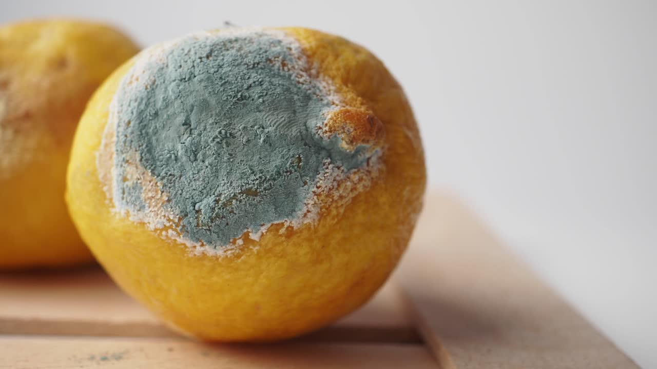 limón con moho