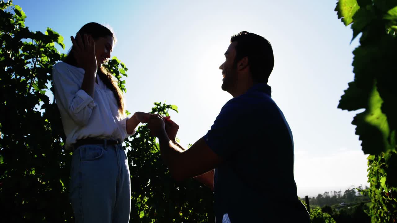 남자 가 포도원 에서 여자 의 손 에 약혼 반지 를 끼우고 있다