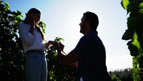 hombre poniendo anillo de compromiso en la mano de la mujer en el viñedo