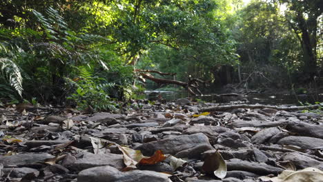 footstep in front of camera on a rocky bush trail near a creek in slow motion
