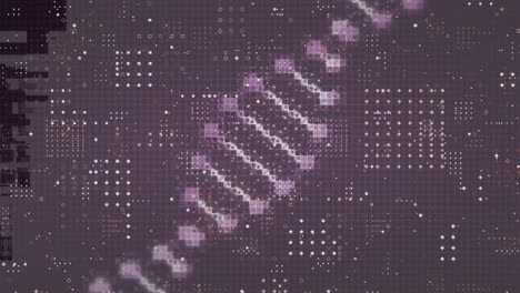 Digitale-Animation-Der-DNA-Struktur,-Die-Sich-über-Punktmusterdesign-Vor-Violettem-Hintergrund-Dreht