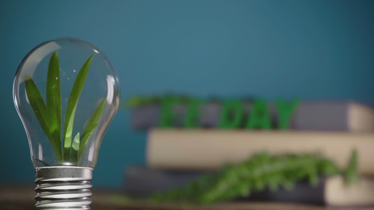 educación ambiental dia 5