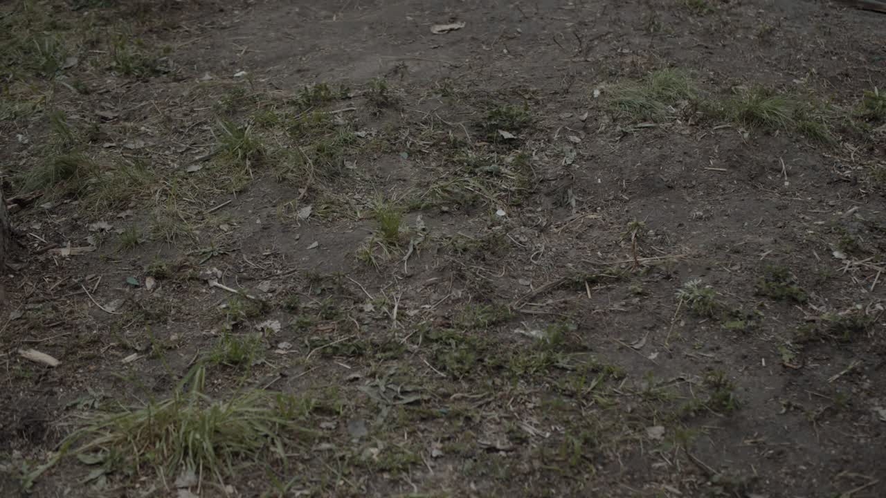 Worker Walks On A Dirty Ground Grass In White Trousers