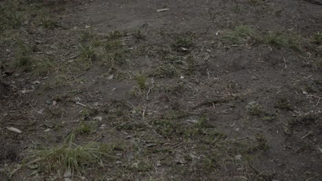 worker walks on a dirty ground grass in white trousers