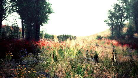 paisaje de bosque verde vívido escénico con prado