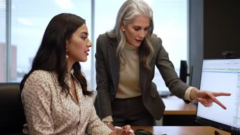 professional mentorship in an office setting: collaborative learning and guidance between experienced and emerging female executives