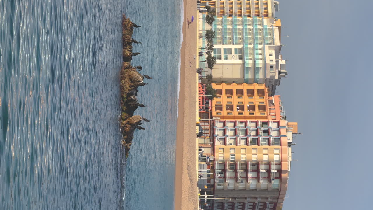 Vertical video of the Mediterranean Sea with a rock with cormorants in the foreground and buildings in the background with copy space
