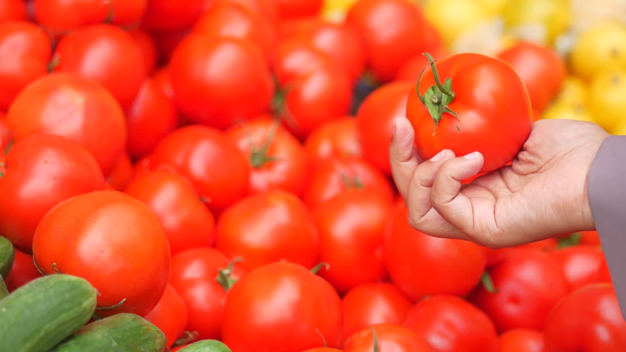 시장 에서 토마토 와 호박 을 선택 하는 사람