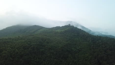 Nubes-Sombrías-Por-La-Mañana-Sobre-La-Espesa-Antena-De-La-Jungla