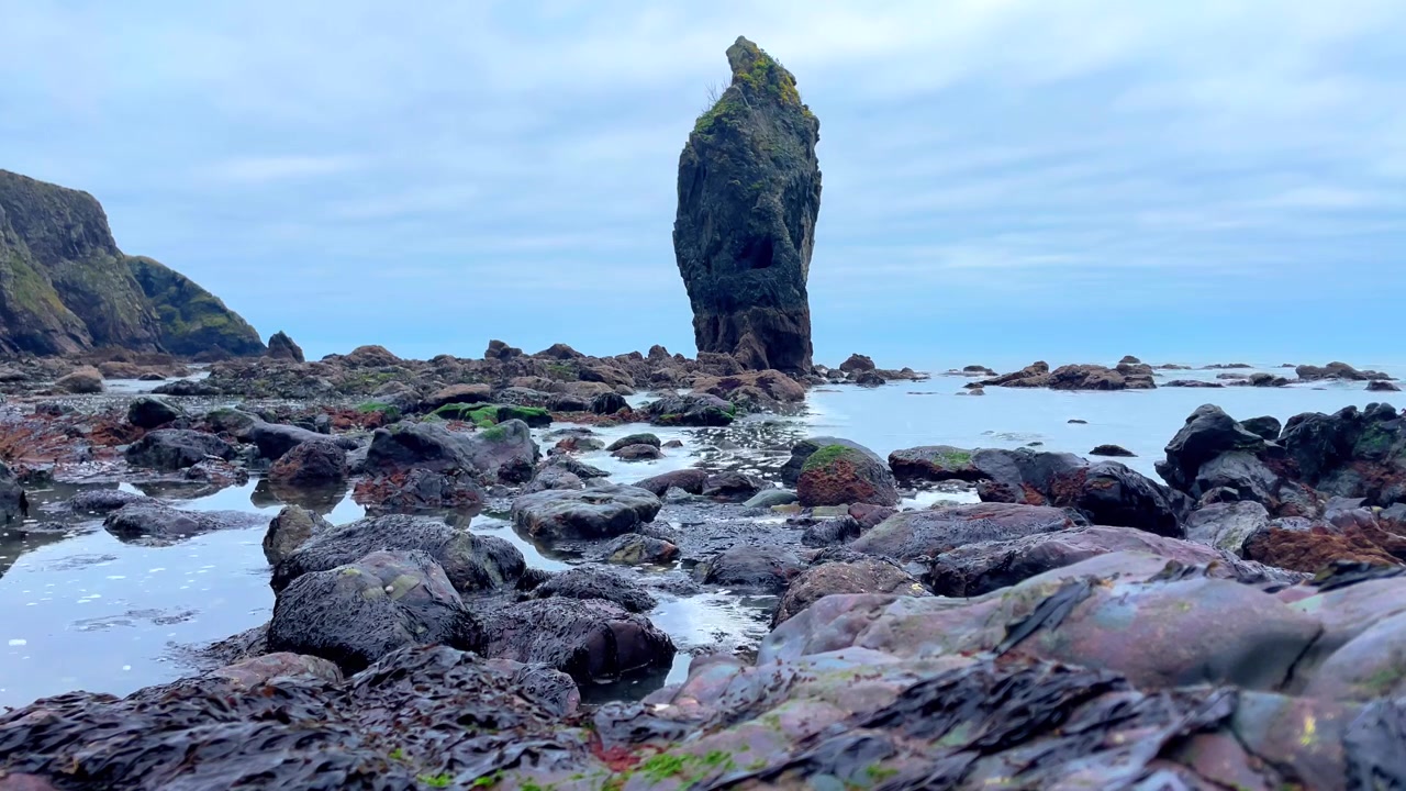 Timelapse di luoghi epici, Irlanda, pozze di roccia piene di alghe che si riempiono lentamente con un faraglione marino drammatico, Ballydwane, Copper Coast, Waterford, Irlanda.