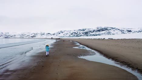 schneebedeckte arktische strandszene mit einer person, die spazieren geht