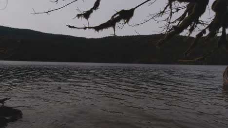 buntzen lake coquitlam bc wide angle panning left trees moss water scenic view of clouds mountains on cloudy day
