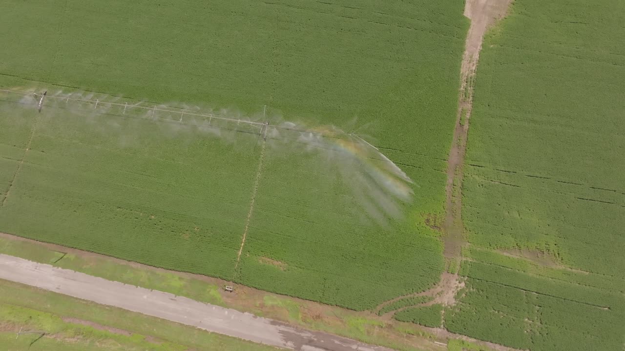 Vista aerea dell'irrigazione delle colture
