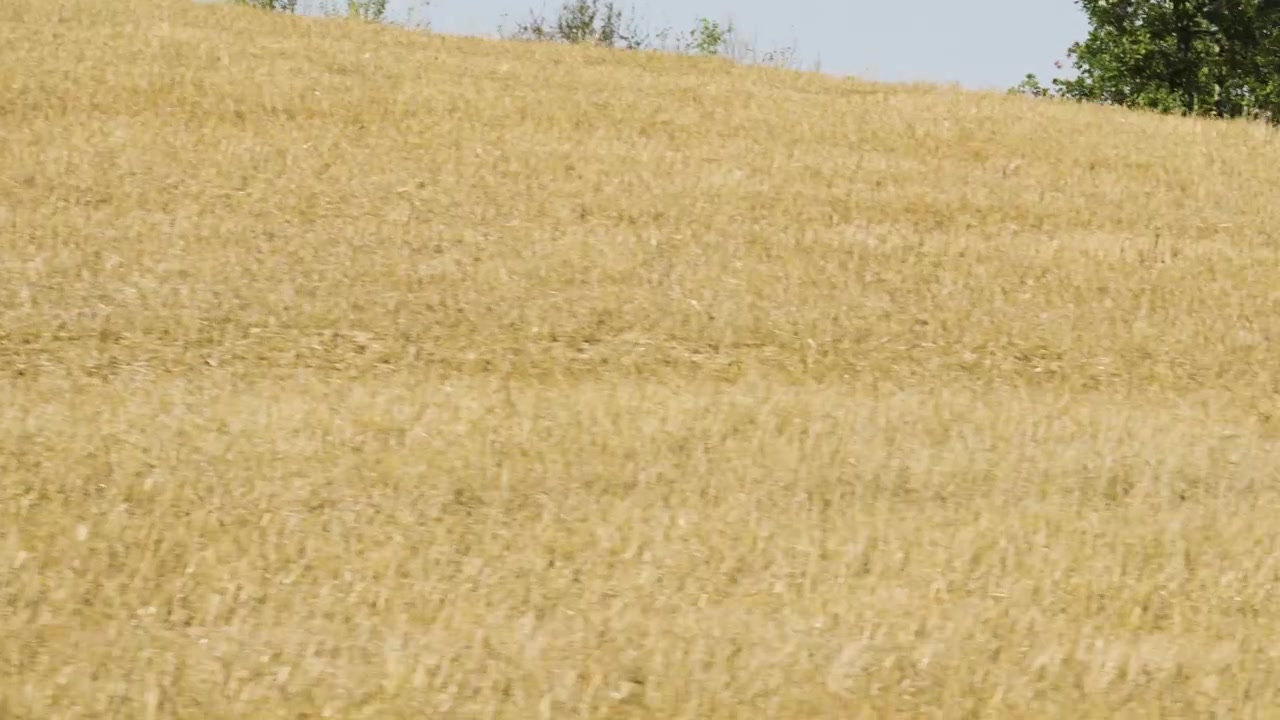Campo secco nella campagna francese nell'estate 2026