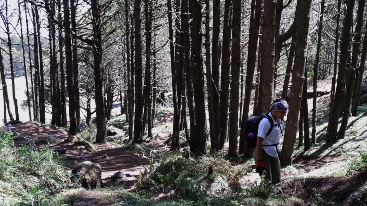 Tired woman with backpack walks up steep forest mountain hiking trail