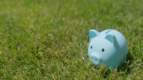 a man puts coins in a piggy bank that stands on a green lawn