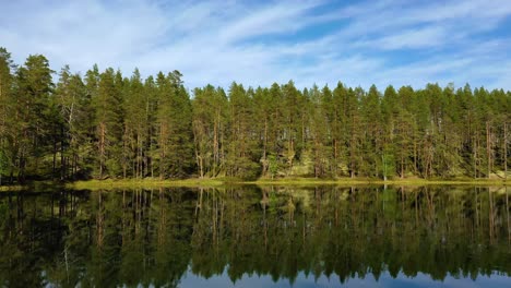 aerial view of the lake and forest in finland. beautiful nature of finland.