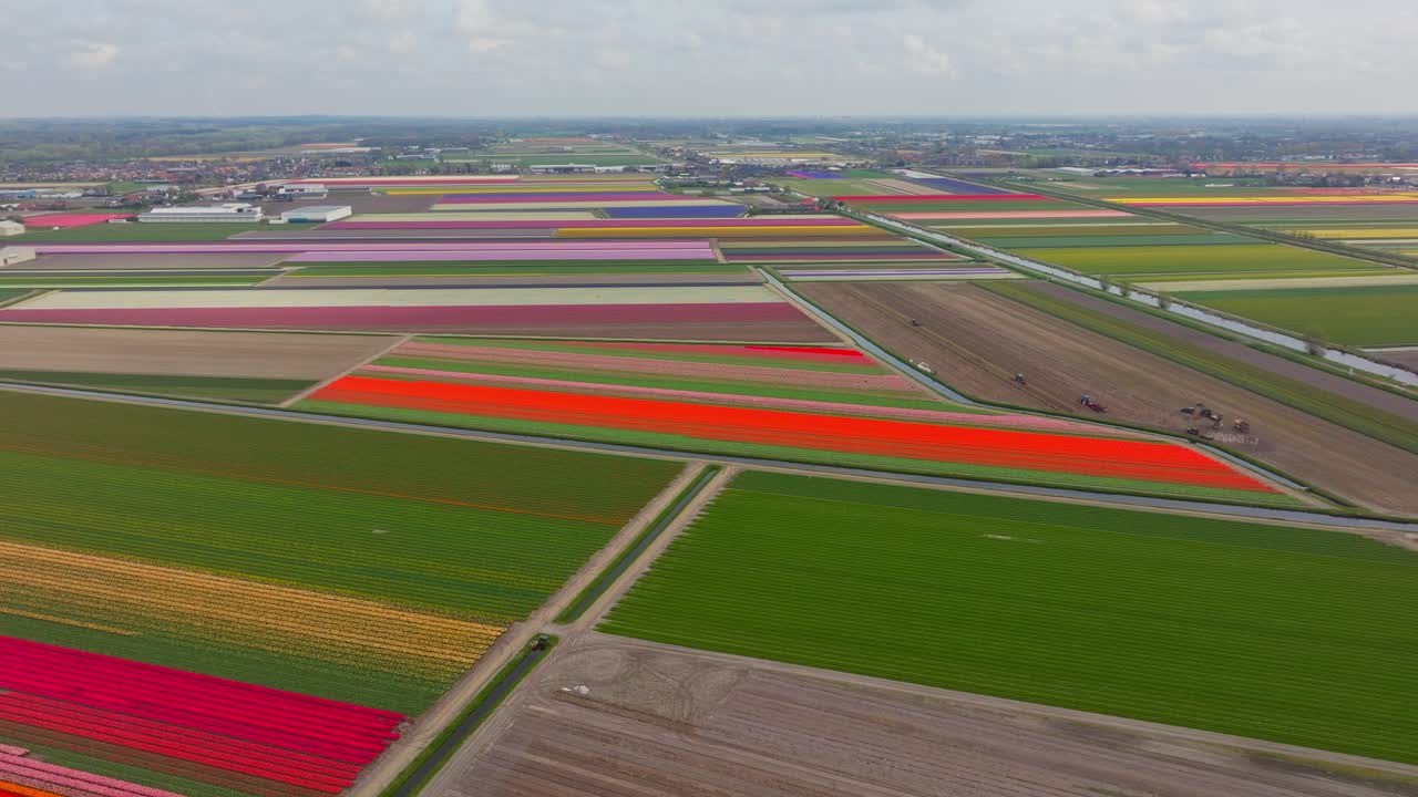 네덜란드 리세 에 있는 다채로운 립  을 날아다니는 항공 투어