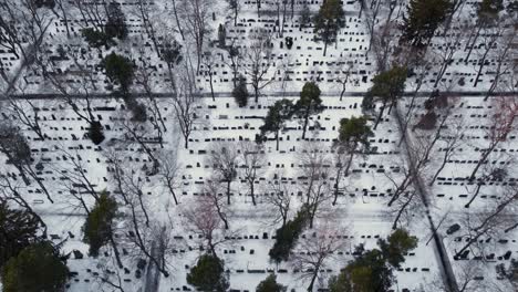 Gran-Cementerio-En-Un-Día-Nevado-De-Invierno