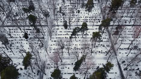 large graveyard on a snowy winter day