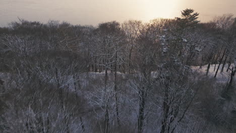 twilight descends over a snow-dusted forest, with bare trees casting shadows and lake in background in europe