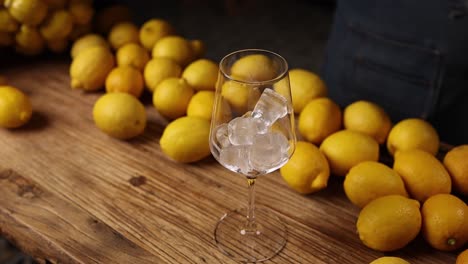 making a refreshing drink with ice and lemons