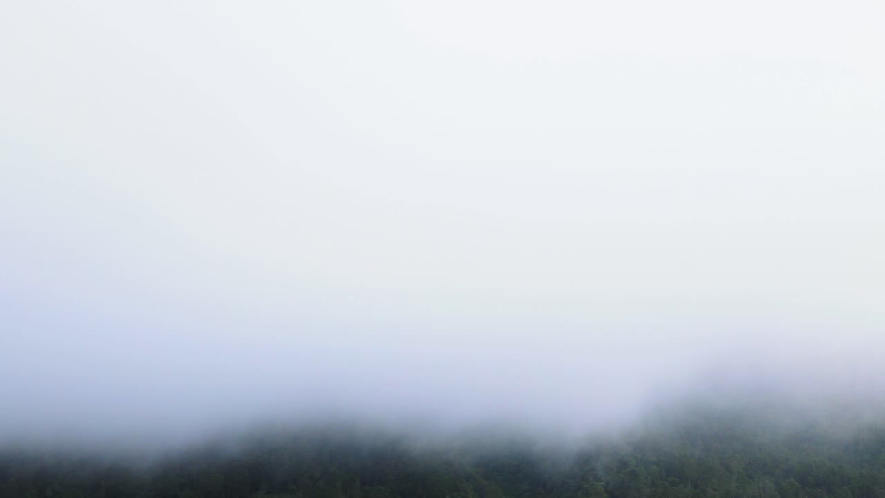 인도네시아의 녹색 열대 우림 위로 날아가는 안개와 구름의 저속 촬영