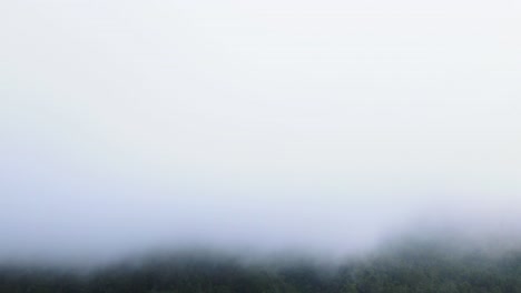 Time-lapse-shot-of-fog-and-clouds-flying-over-green-rainforest-in-Indonesia