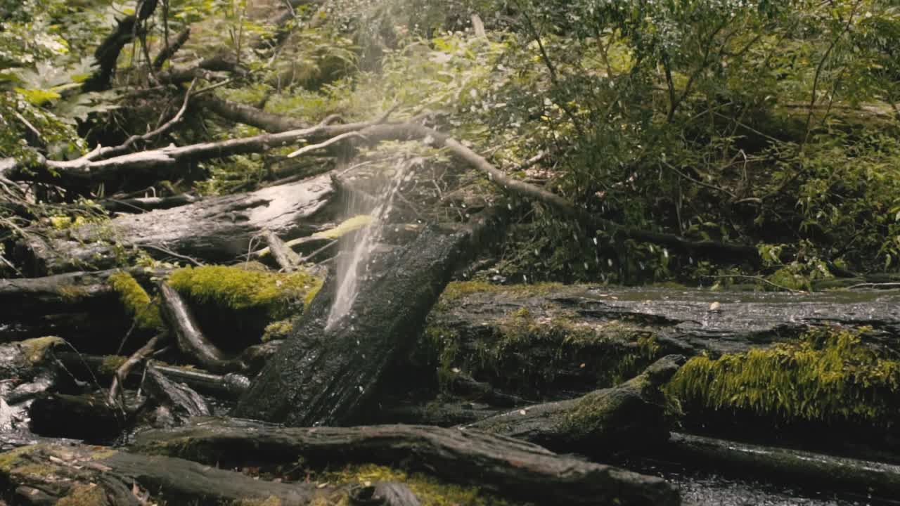 Flow of a river in the Andes mountain around the valley of Las Trancas near the Chillan hot springs in Chile, very green scenery with lots of nature around.