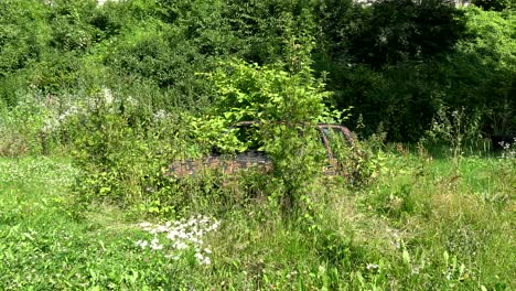 wide shot of an old rusty car in a field, overgrown with lots of plants