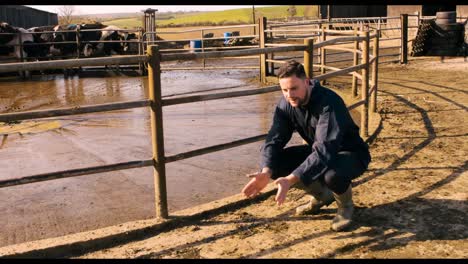 Cattle-farmer-petting-dog-near-barn