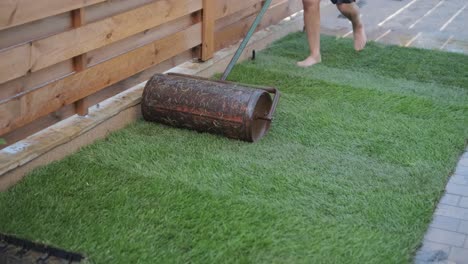 gardener laying a roll of natural lawn turf