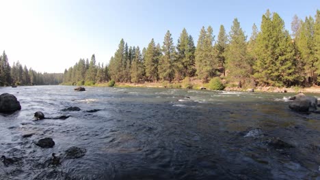 low aerial push upstream from colorful riverbank