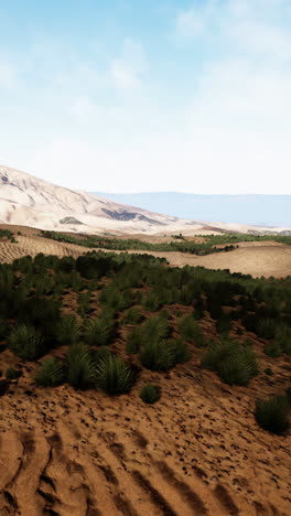 paisaje desértico con dunas de arena y montañas