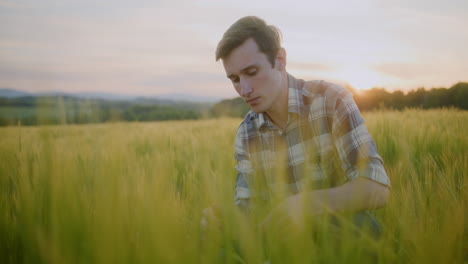 portrait of thoughtful farmer examining grain at sunset