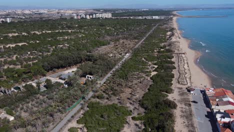 Aerial-descent-revealing-the-Guardamar-palm-grove-and-houses-in-the-beach