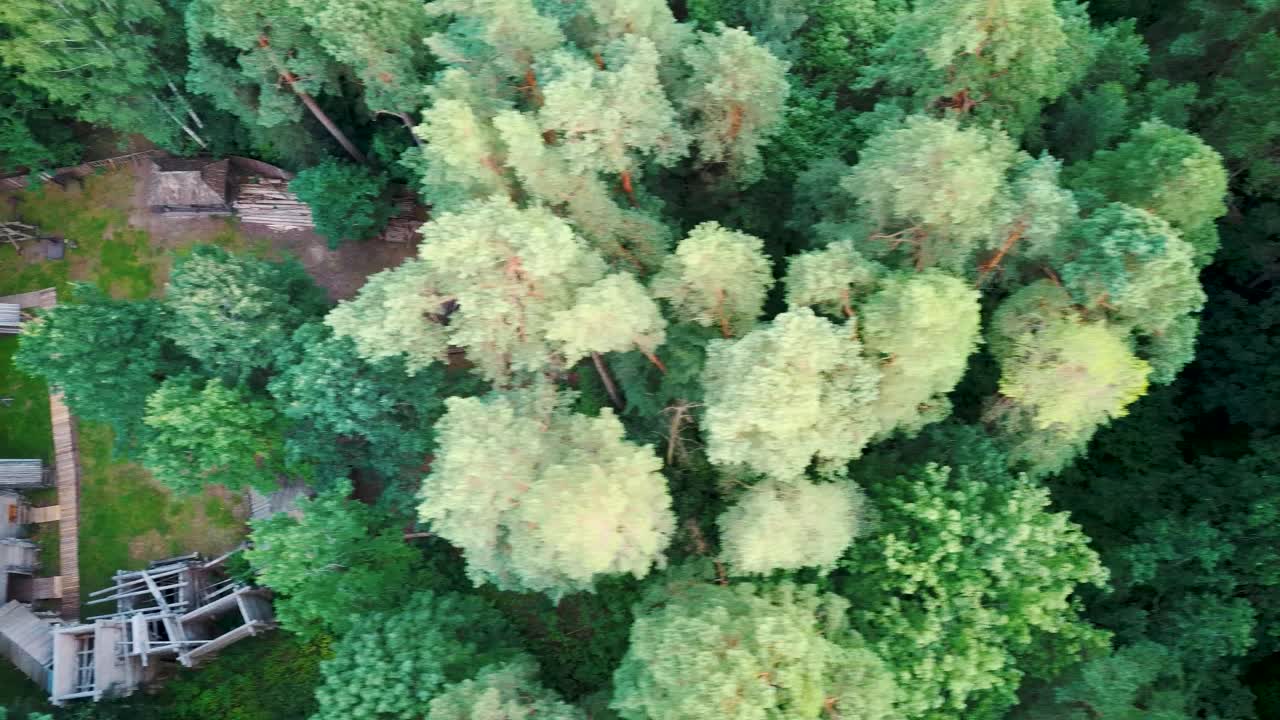 소나무 숲으로 둘러싸인 라트비아 테르베테에 있는 재건된 세미갈리안 목조 성